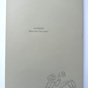 Cover, Where Have They Gone?, An edition of 300, illustrated in colour, 44 pages long